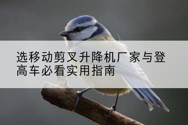 秀屿电动升降机厂家-选移动剪叉升降机厂家与登高车必看实用指南