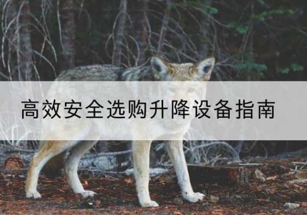 秀屿升降货梯厂家推荐-*安全选购升降设备指南