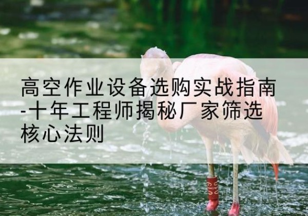 秀屿剪叉式升降机厂家-高空作业设备选购实战指南-十年工程师揭秘厂家筛选核心法则